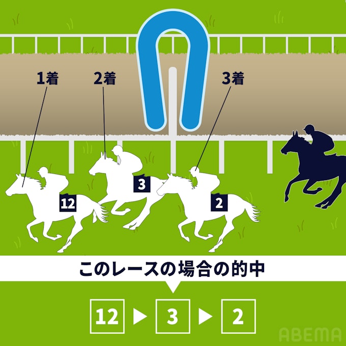 初心者向け馬券の種類(単勝・三連単など)や買い方について解説! 初心者向け馬券の種類(単勝・三連単など)や買い方について解説!